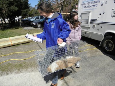 Rita Thiel transports a neutered cat at the March 10 Ocracats Spay/Neuter Clinic. At this clinic (the second one this year), 51 cats were trapped, spayed/neutered, and released.